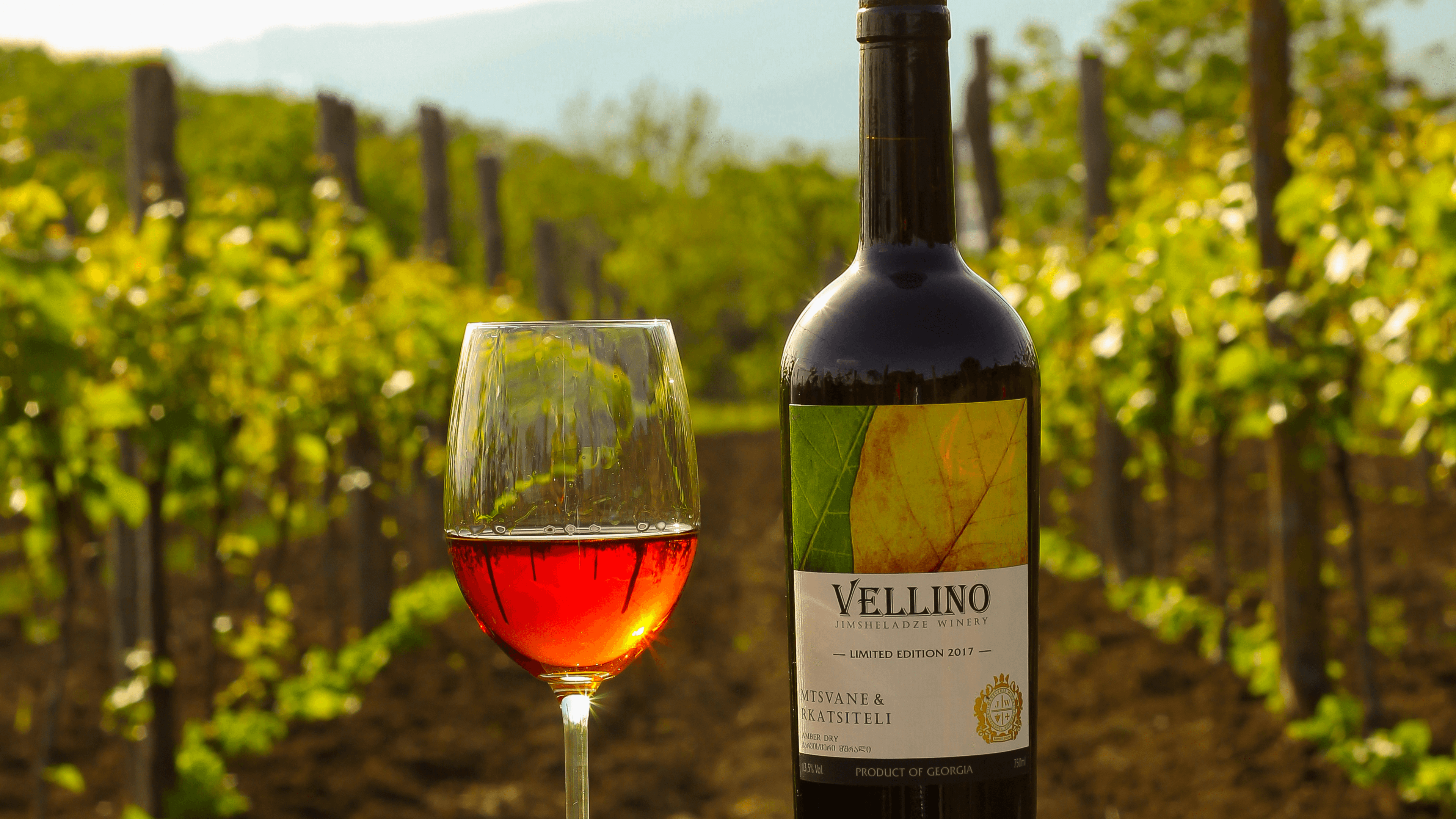 Vineyards in Kakheti, Georgia